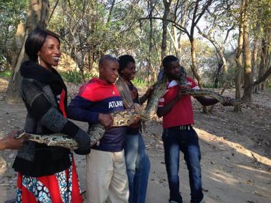 Madam Getrude, Mr. Brighton, and Madam Mubanga holding a phython with the help of Ba Zacks (Photo Creds: Mom)